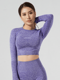 Ava Long Sleeve Crop Top indigo-purple