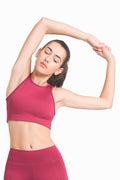Robyn High Neck Sports Bra burgundy